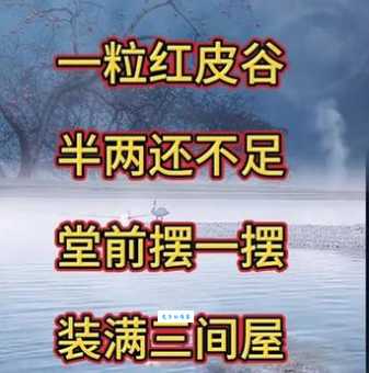 脑筋急转弯：坚壁清野打一生肖，是什么？