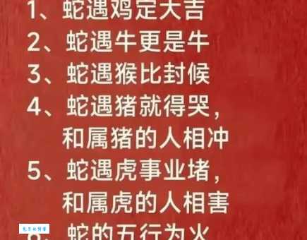 替天行道的生肖大盘点！看看有没有你的属相？