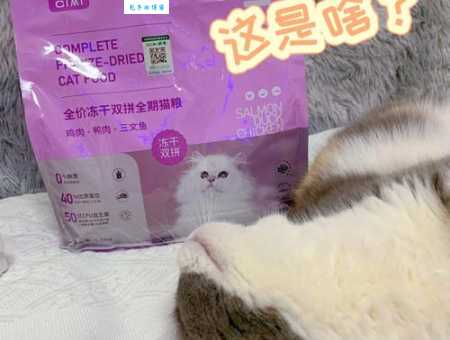 不古不今是什么生肖?原来是它,万万没想到!