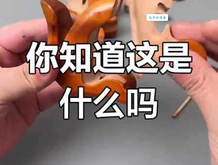 猜谜语：安营扎寨打一个动物生肖，快来猜猜看！