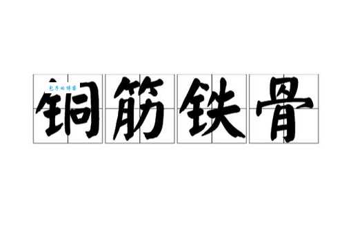 铜筋铁骨打一动物你知道吗？答案原来这么简单！