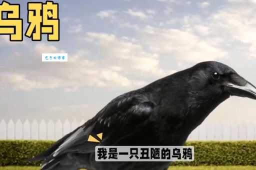 乌鸦为什么是黑的?看完你就知道了!