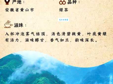 黄山毛峰怎么泡才好喝？水温和茶量是关键！