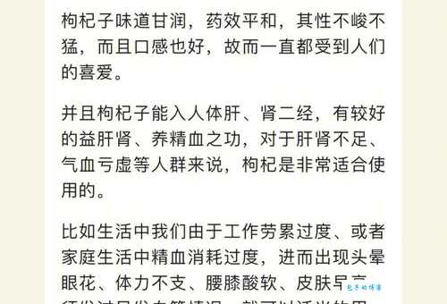 枸杞泡水喝有什么好处？今天来了解下吧！
