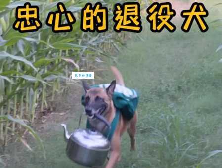 马户是谁这个问题好难?其实答案很简单!