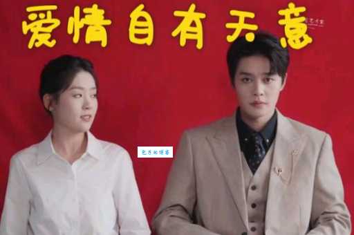 爱情自有天意演员表全介绍,看看都有哪些大咖!