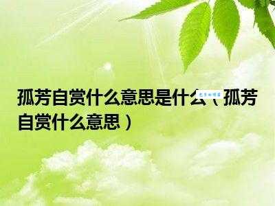 孤芳自赏什么意思？如何与这样性格的人相处？