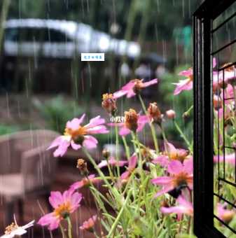 秋雨绵绵是什么意思？这几个现象你遇到过吗？