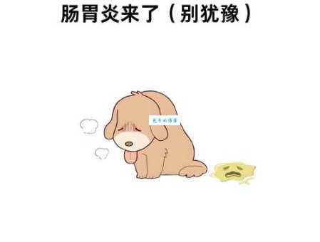 翻肠倒肚的意思是什么?一篇文章告诉你答案!