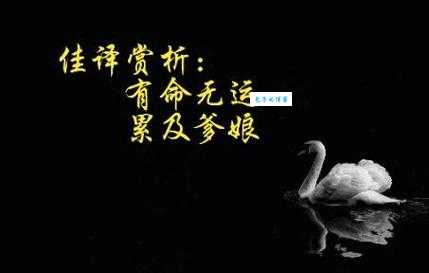 总说有命无运的意思,到底啥意思?看完就懂了!