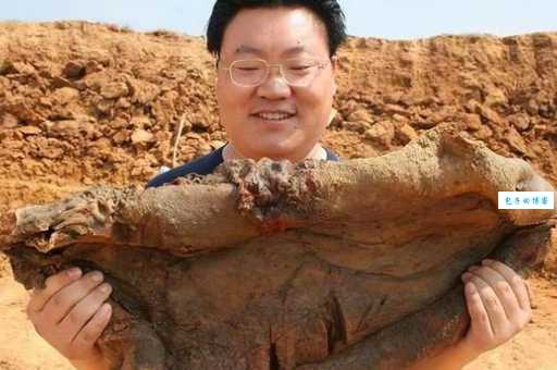 太岁是什么意思啊？这篇文章讲得明明白白！