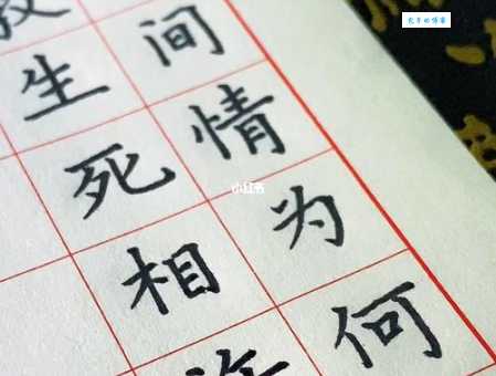 问世间情为何物出自何人之手?答案揭晓!