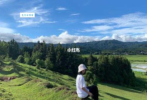 人间的青草地需要浇水是什么意思?这句话太有深意了!