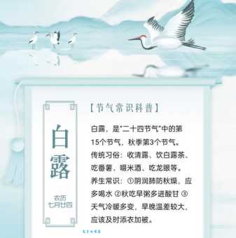 白露是什么意思？白露节气习俗和寓意是什么？