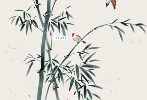 见风使舵的人这个意思是什么？他们有什么特征？
