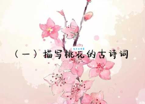 人面桃花是什么意思？古诗词里竟然这么解释！