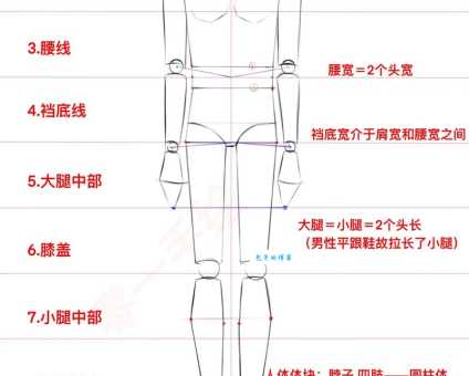 九头身是什么意思？美女为什么都是九头身？