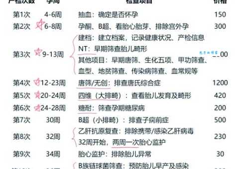 nt是什么意思?一文搞懂nt检查的那些事!