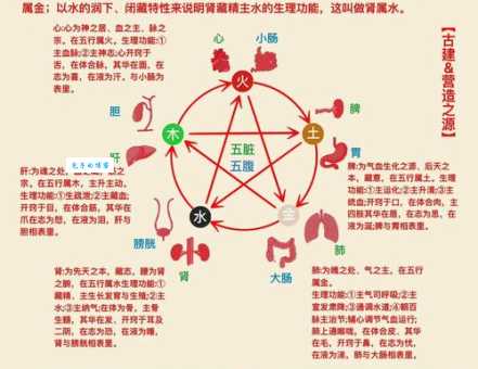 五行的意思怎么理解?看这3点就够了!