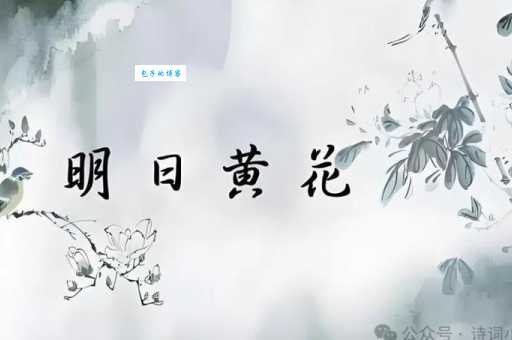 黄花女儿的意思你懂吗?现在还有人用吗?