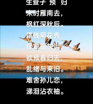 想知道碧血黄花什么意思?这篇文章别错过!