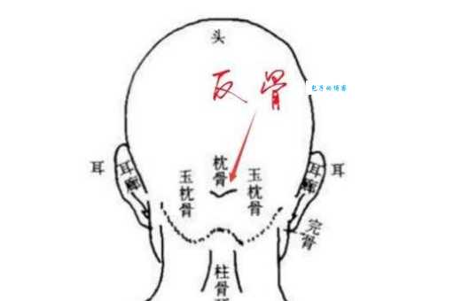 反骨是什么？有反骨的人适合做什么工作？