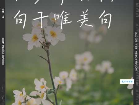 阳光明媚是什么意思？带你了解它的含义和用法