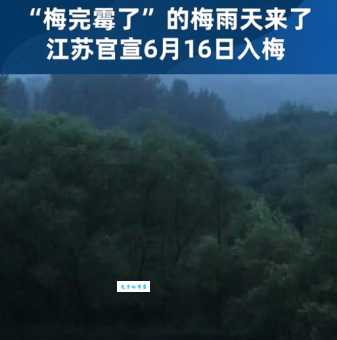 出梅是什么意思啊?告别梅雨季迎接盛夏