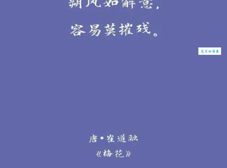 “逆风如解意”的含义是什么？揭秘诗词背后的故事