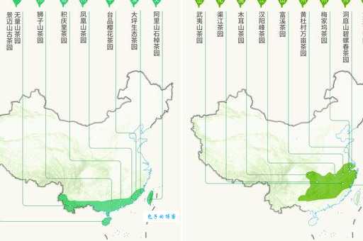 中国茶花主要产地在哪里?这些城市值得一看!
