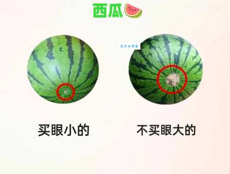 吃那种水果容易招蚊子?夏天防蚊小妙招
