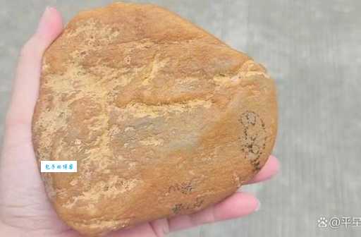 不同产地翡翠原石对比,哪个更值得入手?