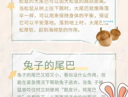 动物尾巴的用处:生存、求偶,不可或缺的部位!