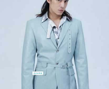 陈楚河个人资料:从黑帮背景到荧幕巨星的华丽转身