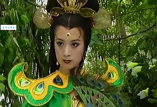 金巧巧个人资料大揭秘：从孔雀公主到如今的她