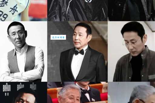 详细陈道明简介:辉煌成就与个人生活大揭秘
