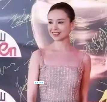 董洁现任老公是高富帅?董洁感情现状大揭秘