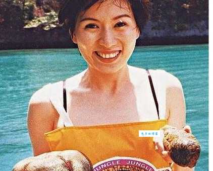 罗慧娟个人资料:香港女演员的传奇人生与爱情故事