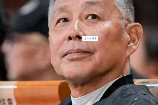 陈道明个人资料及作品:深度解析他的艺术成就与影响