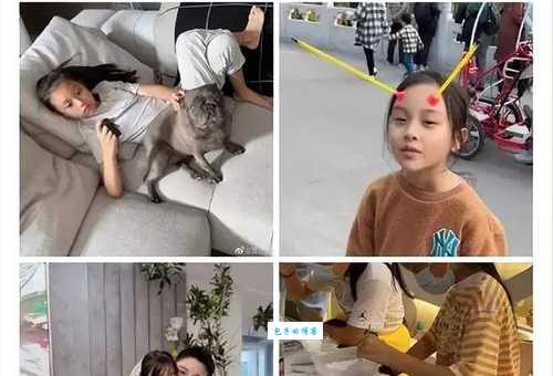 贾乃亮父母是做什么的?揭秘明星背后的家庭背景