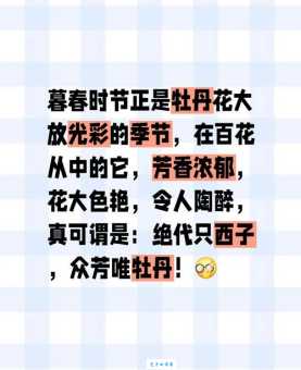 群芳吐艳是什么意思?详解群芳吐艳的词语意思