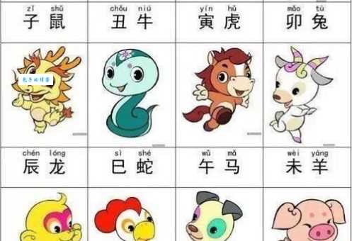 点滴归公是哪个生肖的象征?答案就在这里