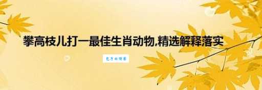 想知道攀高枝儿是哪个生肖吗？带你了解生肖与“攀高枝”