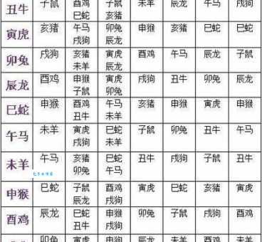 男女平权是什么生肖？这几个生肖最懂平等