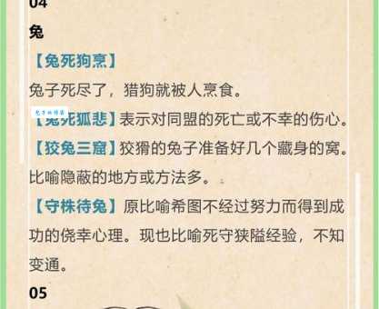 沸反盈天代表什么生肖?成语谜语趣味分析!