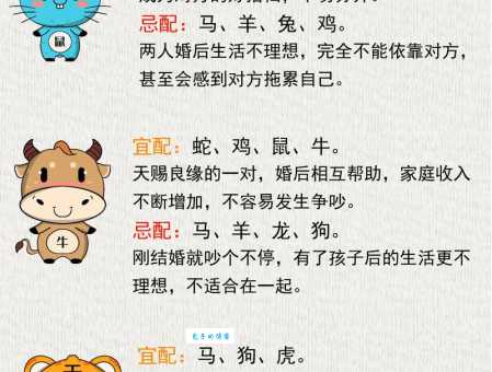 哪个生肖最聪明伶俐?深度解析生肖与智力的关系