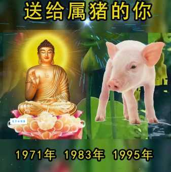 融会贯通是哪个生肖?看看你的生肖在不在?
