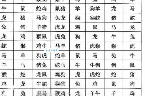 方寸不乱代表什么生肖?从生肖性格看应对压力的能力