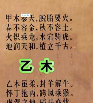 明察秋毫是什么生肖?牛、龙、鸡哪个更贴切?