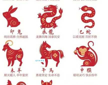 想知道哪些生肖最有远见卓识吗?答案就在这里